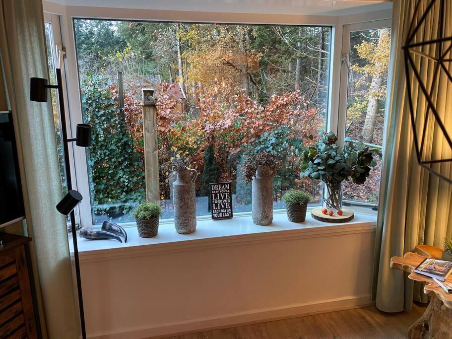 Op Boszicht Genieten Van De Rust & Natuur Putten Exterior foto